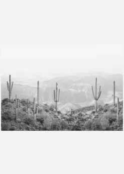 Western Cactus Canvastavla (30x40 cm)