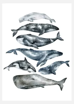 Whales Canvastavla (30x40 cm)
