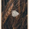 White Butterfly Poster (21x29.7 cm (A4))