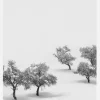 White Carpet Canvastavla (30x40 cm)