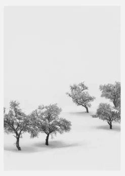 White Carpet Canvastavla (30x40 cm)