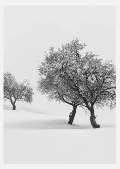 White Carpet II Canvastavla (30x40 cm)