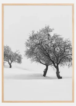 White carpet II Poster (21x29.7 cm (A4))