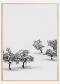 White Carpet Poster (21x29.7 cm (A4))