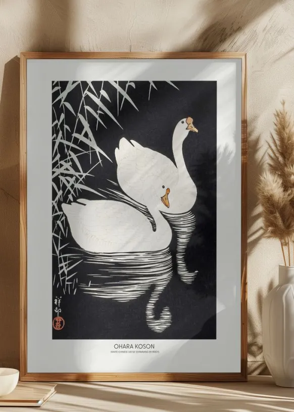 White Chinese Geese Swimming by Reeds Poster (21x29.7 cm (A4))