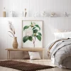 White Rose Poster (21x29.7 cm (A4))