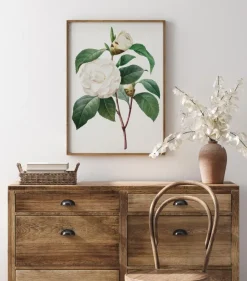 White Rose Poster (21x29.7 cm (A4))