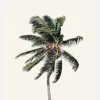 Windy Palm Tree Canvastavla (30x40 cm)