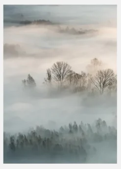 Winter Fog Canvastavla (30x40 cm)