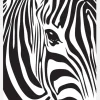 Zebra Canvastavla (30x40 cm)