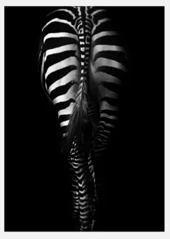 Zebra Tail Canvastavla (30x40 cm)